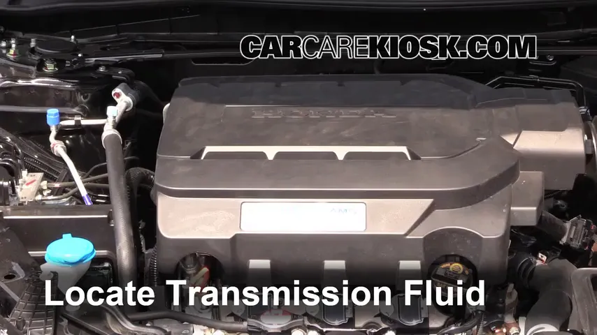 2014 Honda Accord EX-L 3.5L V6 Sedan Transmission Fluid Check Fluid Level